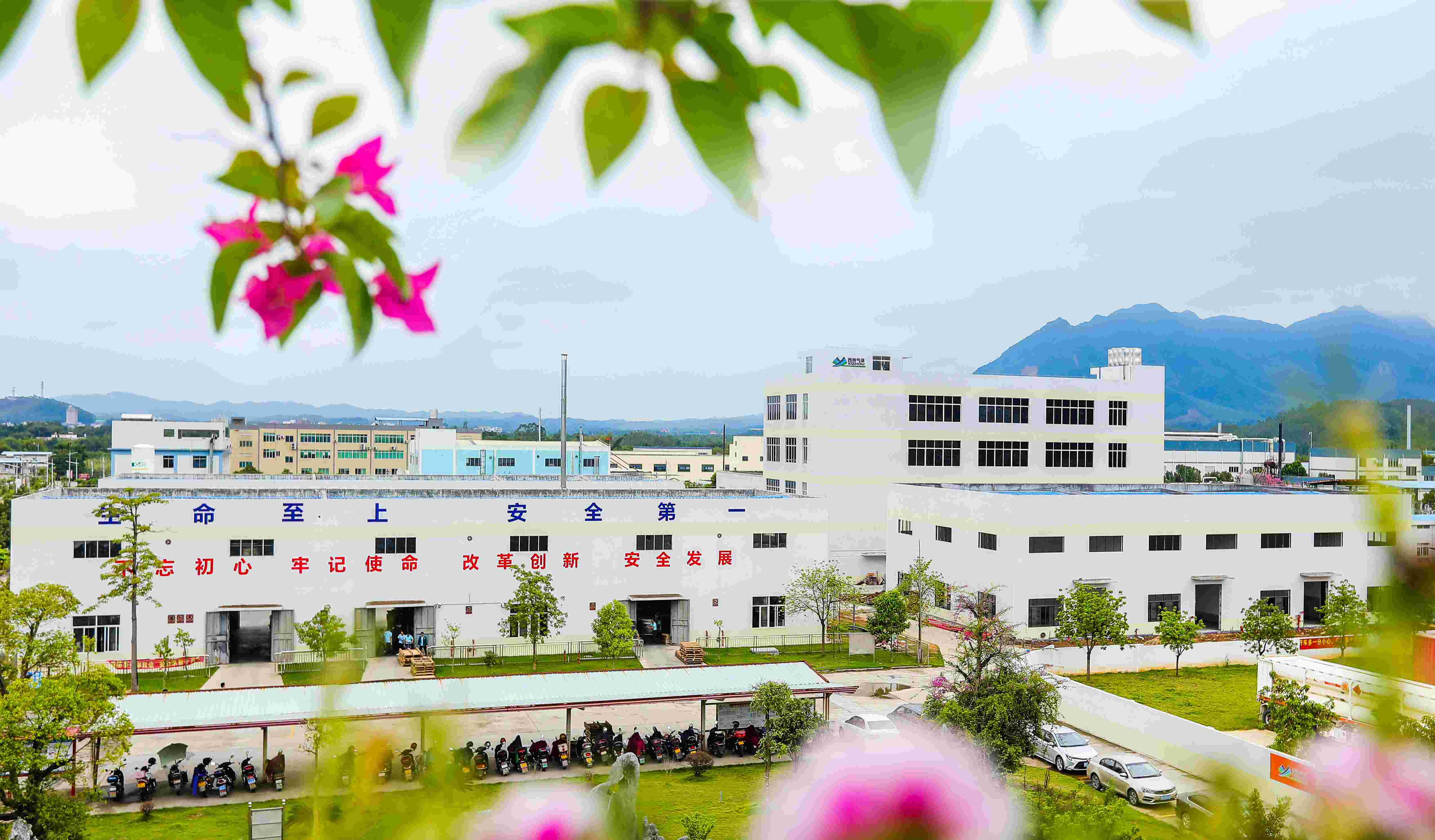 j9.com���峧��